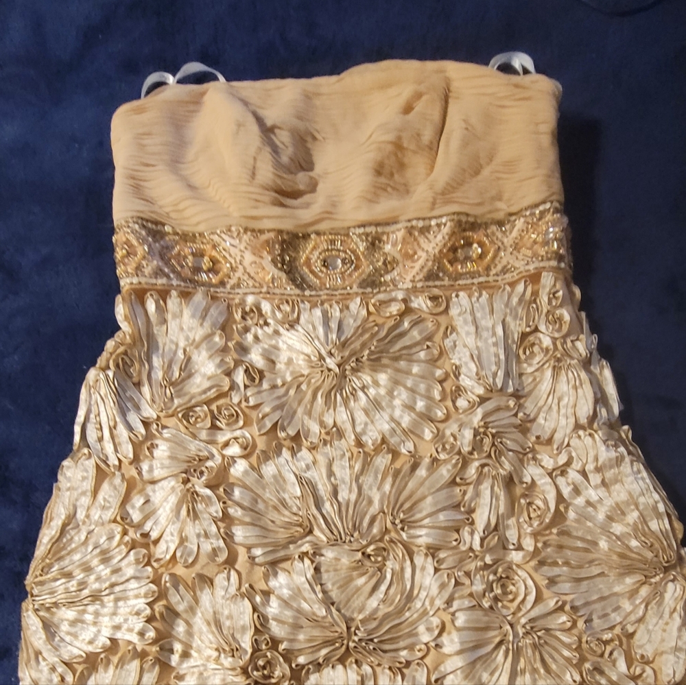 Suewong drees, sizes 8 color gold